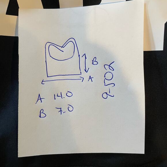 IVY PARK NWOT COLOR BLOCK LOGO BLACK MESH LINED SPORTS BRA LARGE - Picture 10 of 11